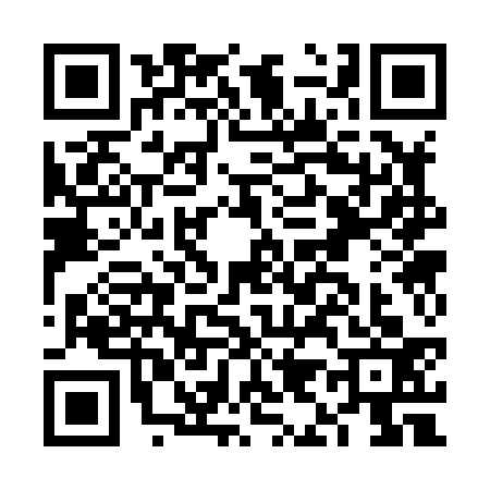 QR code for FI38336