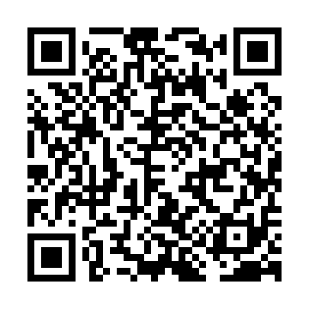 QR code for FI9111