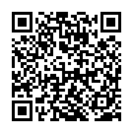 QR code for FIZ500