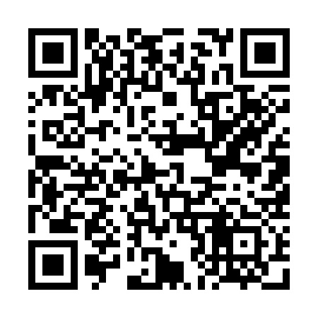 QR code for FJ5333