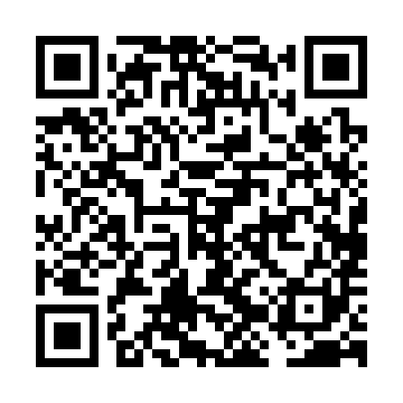 QR code for FJP381