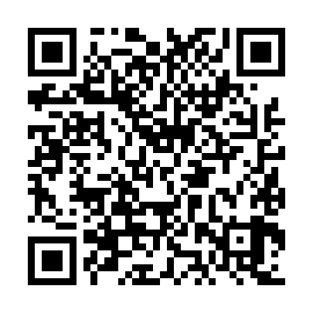 QR code for FJV489