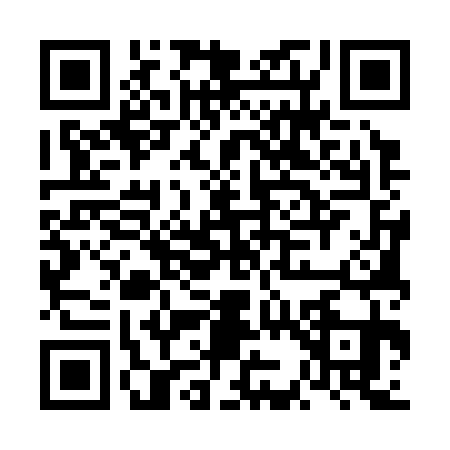 QR code for FK53313