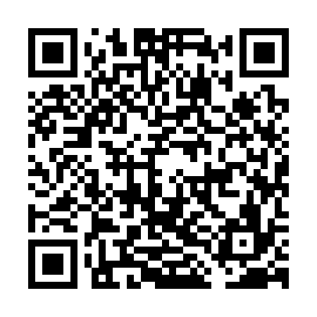 QR code for FLI336