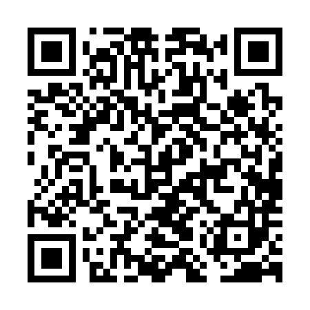 QR code for FMP383