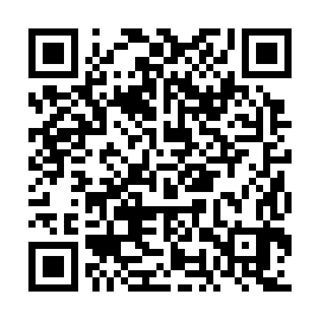 QR code for FOR383
