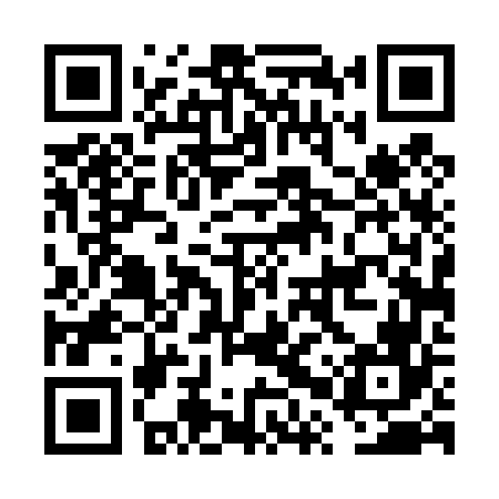 QR code for FPT466
