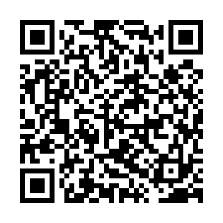 QR code for FPY533