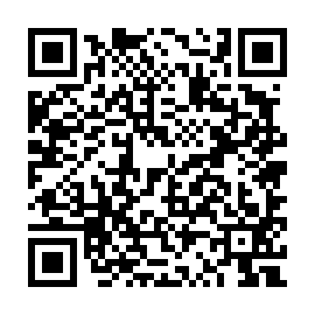 QR code for FR54933