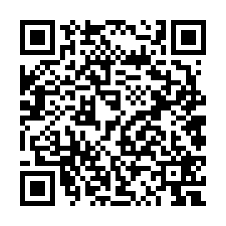 QR code for FR66290