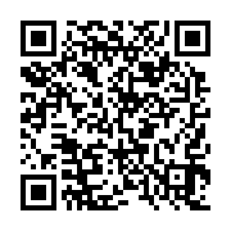 QR code for FT0313