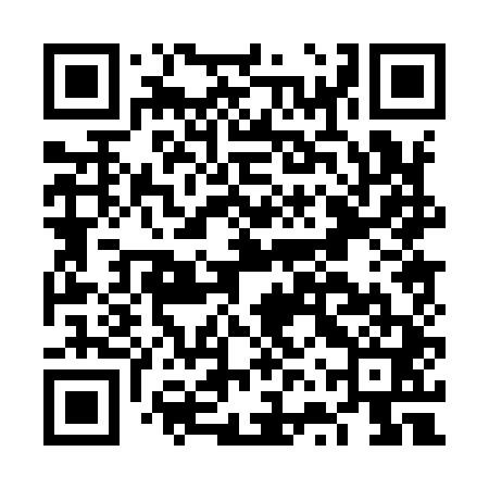 QR code for FVP941