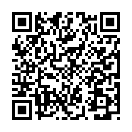 QR code for FY06011