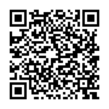 QR code for FZ09536