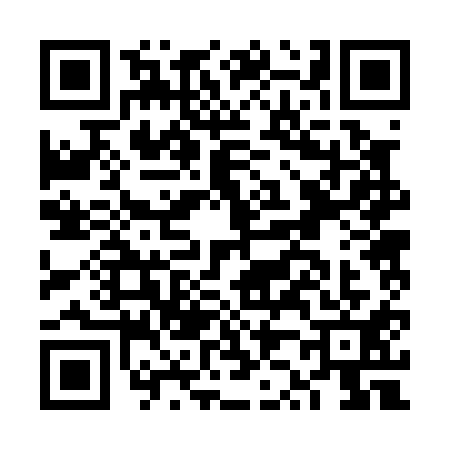 QR code for FZ20119