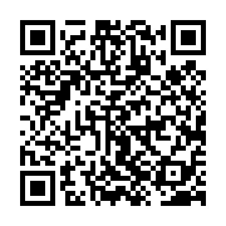 QR code for FZD419