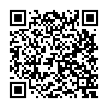 QR code for FZQ163