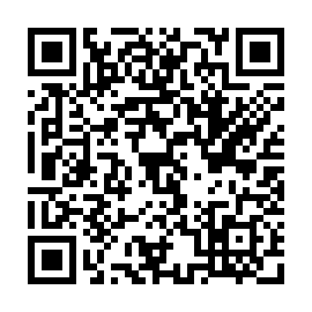 QR code for G013386