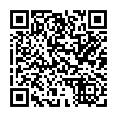 QR code for G02393