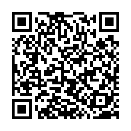 QR code for G02728