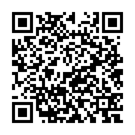 QR code for G027333