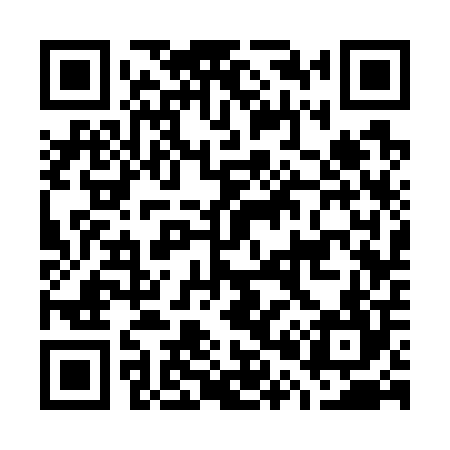 QR code for G03704