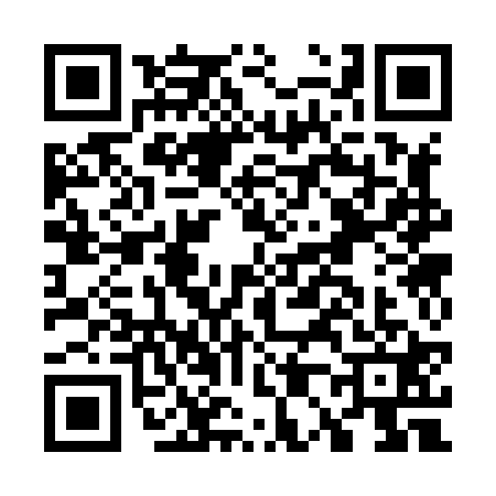 QR code for G038211
