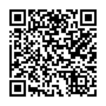 QR code for G06293