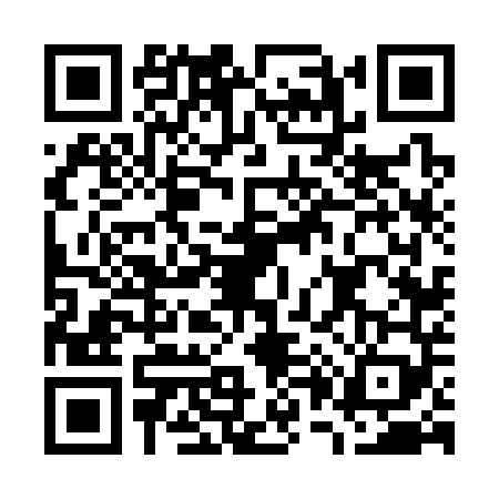 QR code for G063491