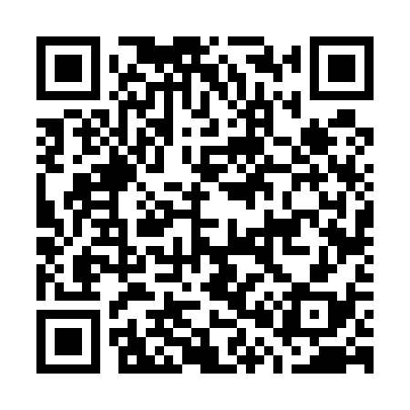 QR code for G06538