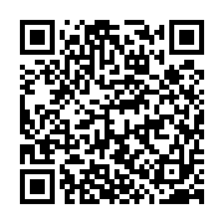 QR code for G09513