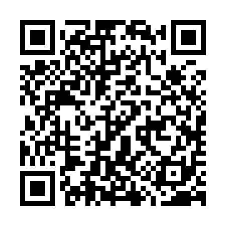 QR code for G12911