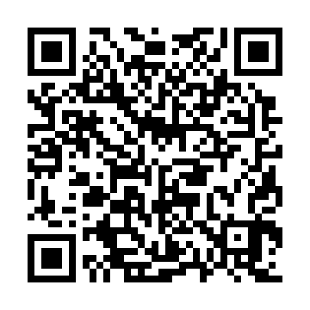 QR code for G13303