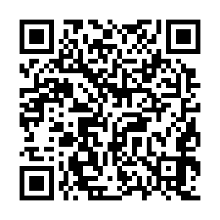 QR code for G13353