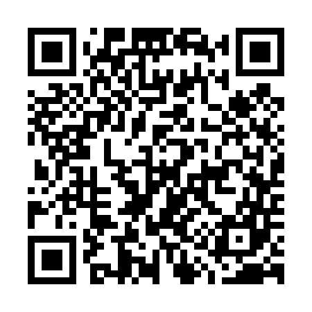 QR code for G13447