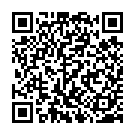 QR code for G13601