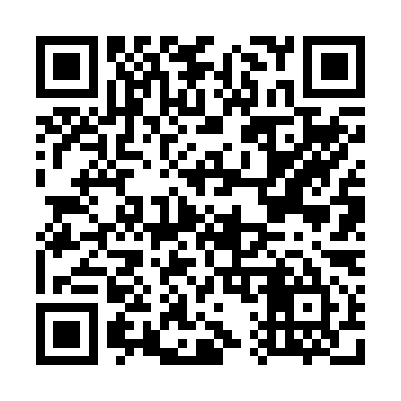 QR code for G16295