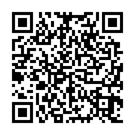 QR code for G163231