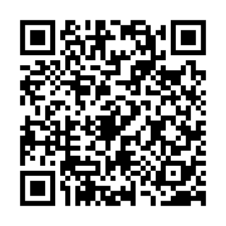 QR code for G163785