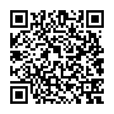 QR code for G166387