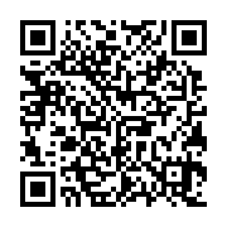 QR code for G17335