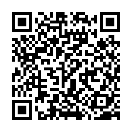 QR code for G19228