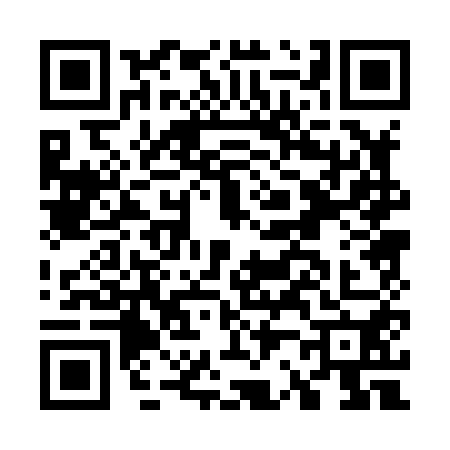 QR code for G208506