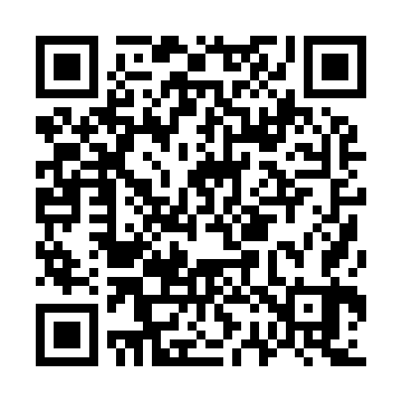 QR code for G20963