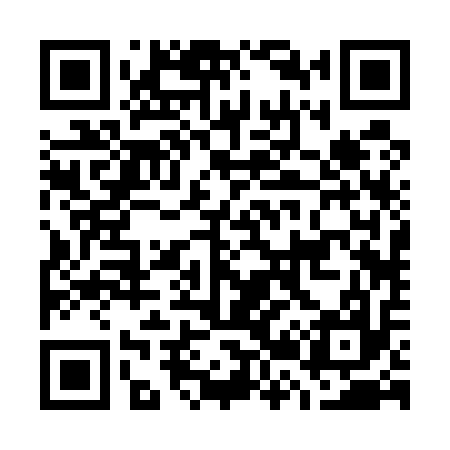 QR code for G22517