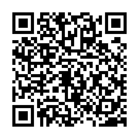 QR code for G225382