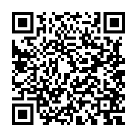 QR code for G228461