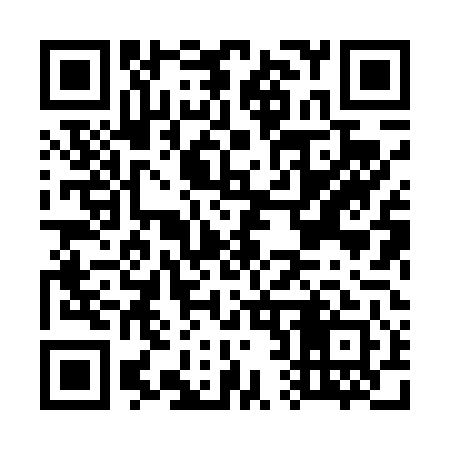 QR code for G28441