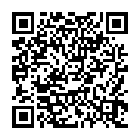 QR code for G28542