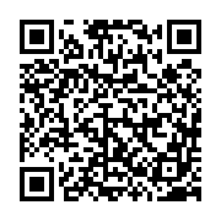 QR code for G28552
